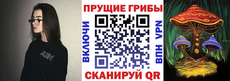где продают   Мантурово  Галлюциногенные грибы прущие грибы 